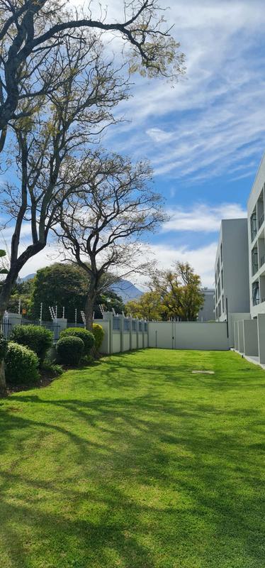 To Let 1 Bedroom Property for Rent in Stellenbosch Central Western Cape